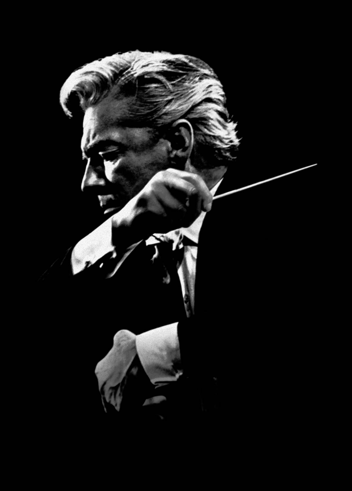 Karajan Profil