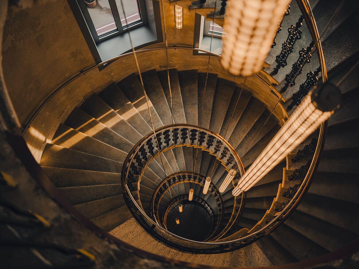 The Companion Vienna 