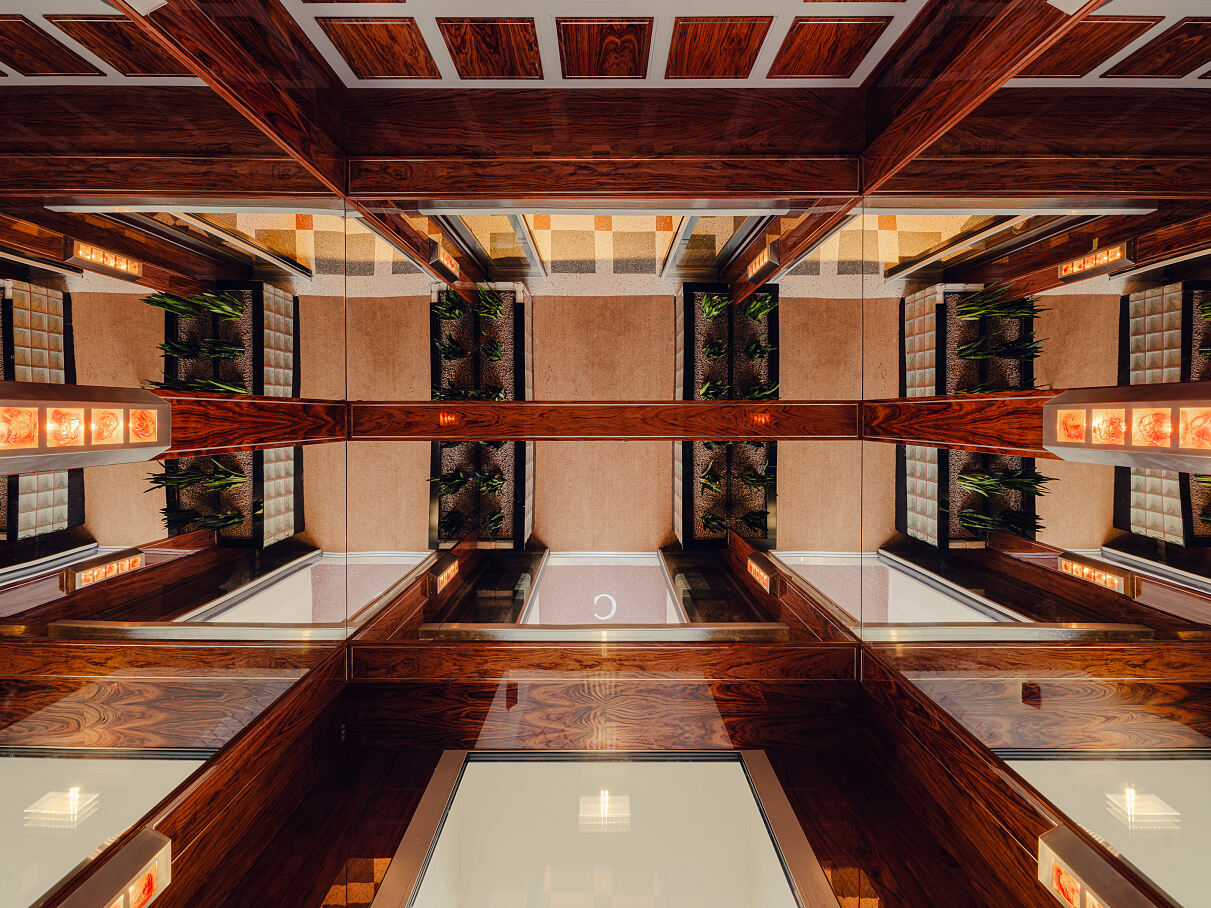 The Companion Vienna