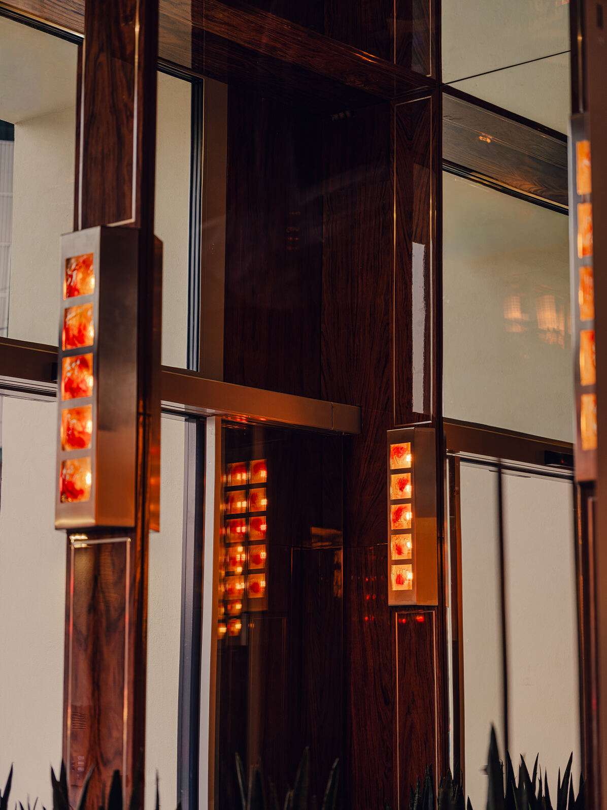 The Companion Vienna