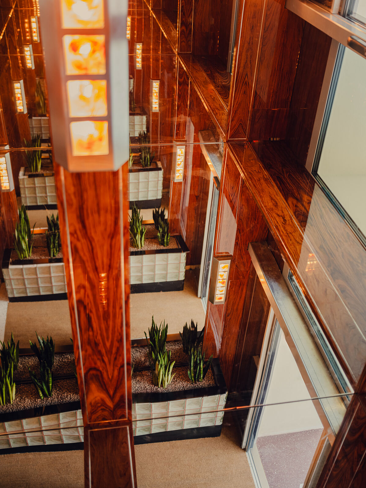 The Companion Vienna