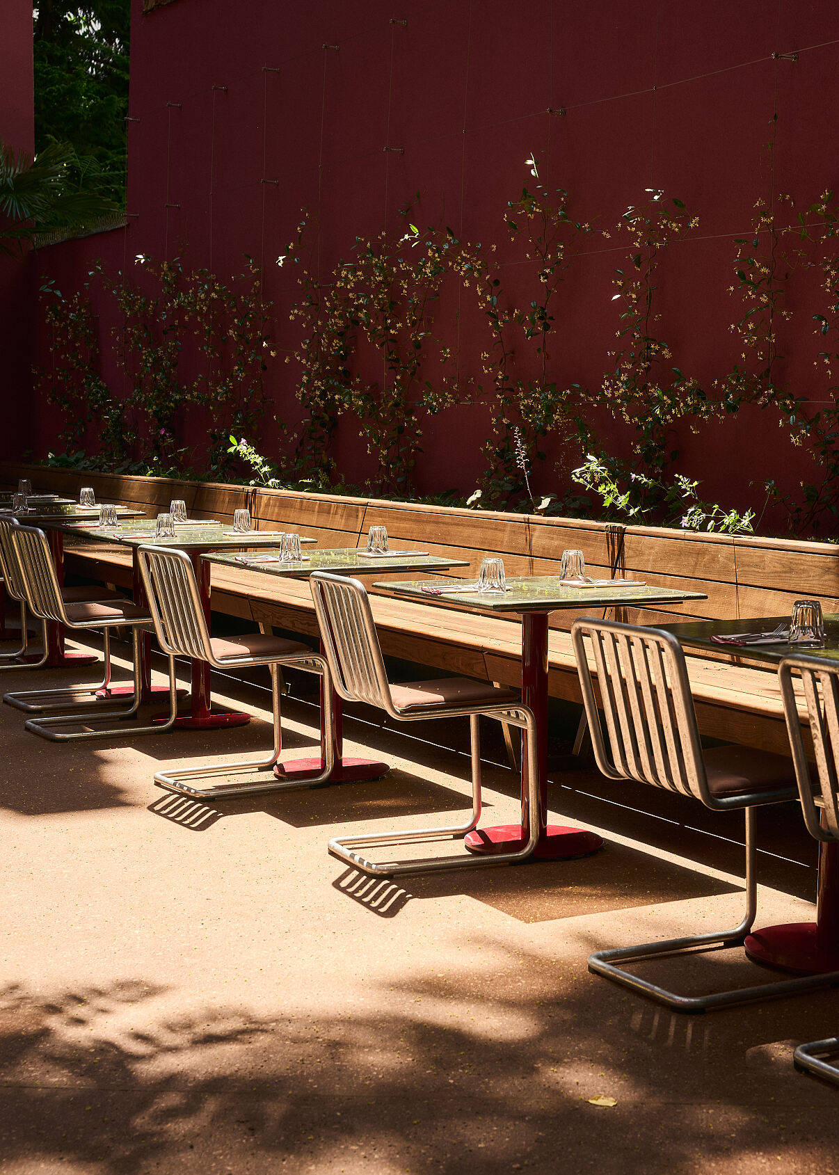  The Companion eröffnet neuen Courtyard für mediterrane Küche und Drinks