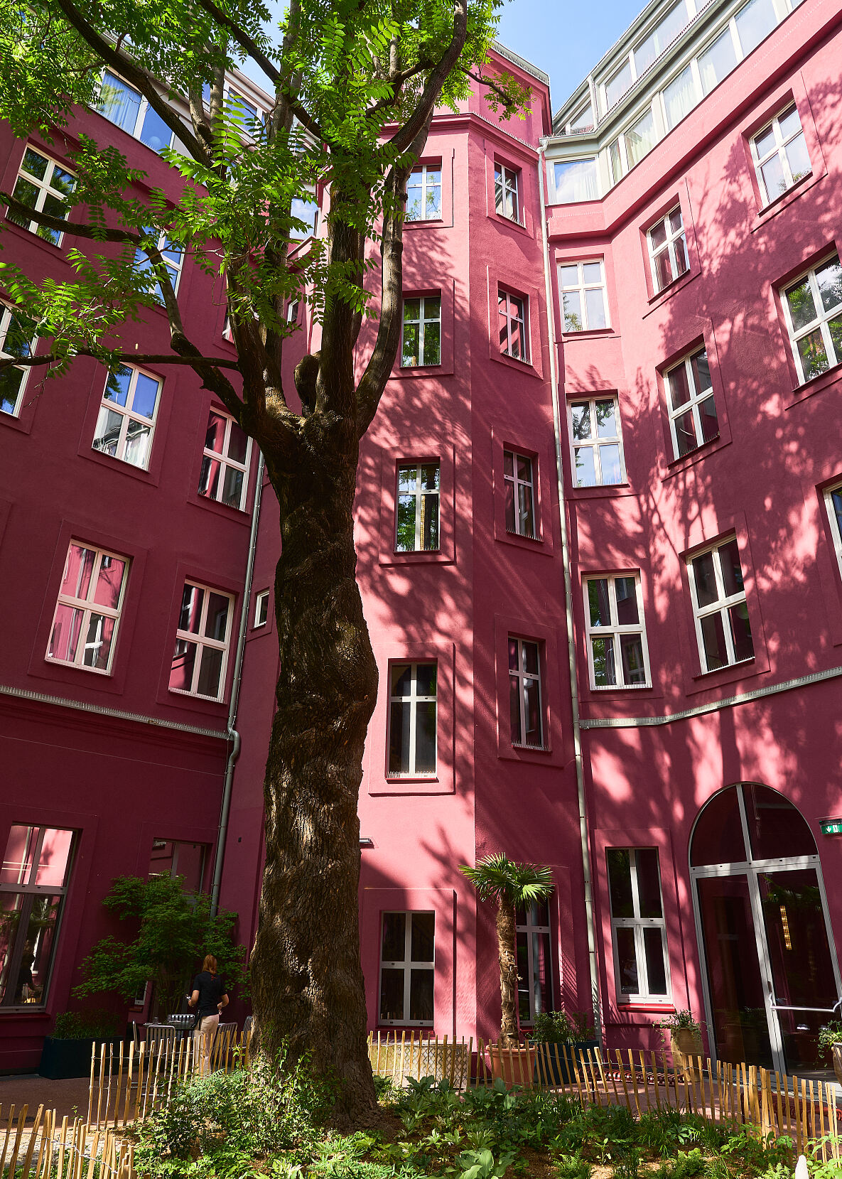  The Companion eröffnet neuen Courtyard für mediterrane Küche und Drinks