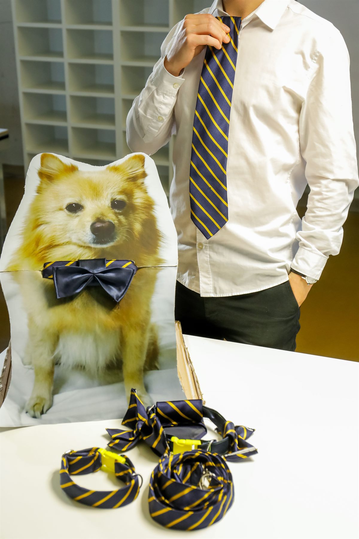 Hundeleinen und -halsbänder aus ausgemusterten Krawatten.