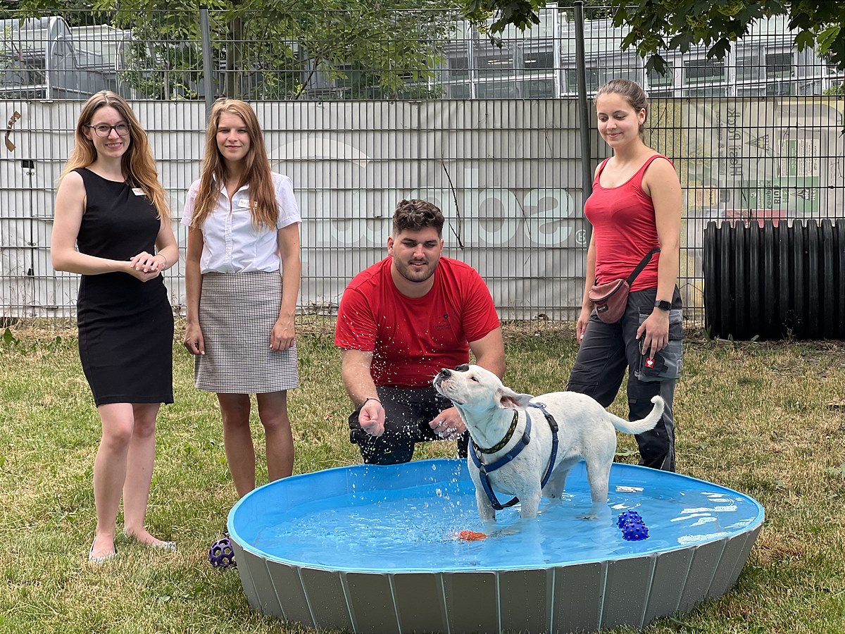 V.l.n.r.: Katharina Wachter, SCS-Marketing Managerin sowie Melanie Fraiss, stellv. SCS-Center Managerin, Stephan Scheidl, Leiter des Tierschutzhauses Vösendorf und Katrin Sterz, Hundepflegerin mit Hund „Mathilda“ in der „Dog Zone“ im Tierschutzhaus