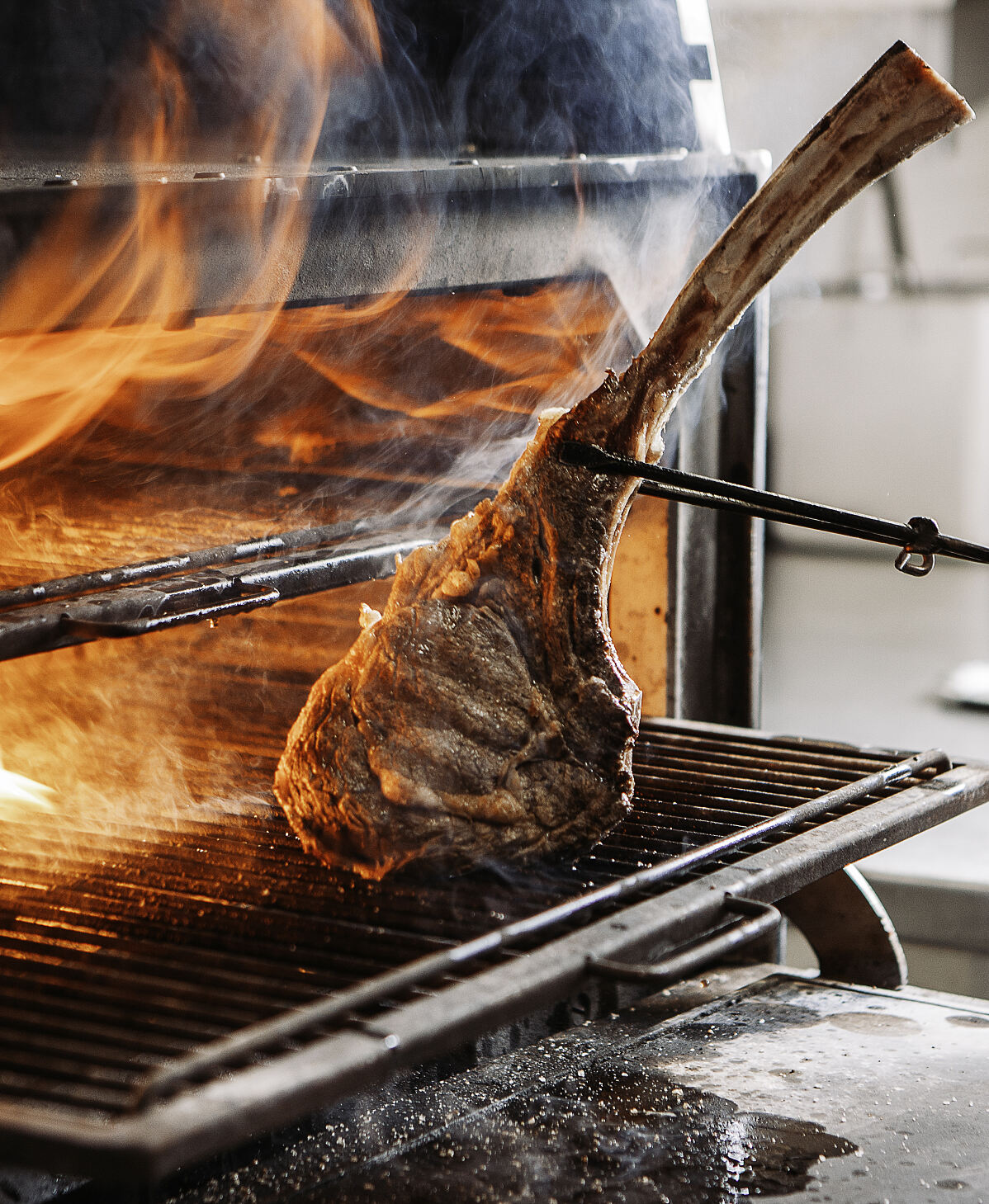 Neue Hoheit Josper Grill (2)