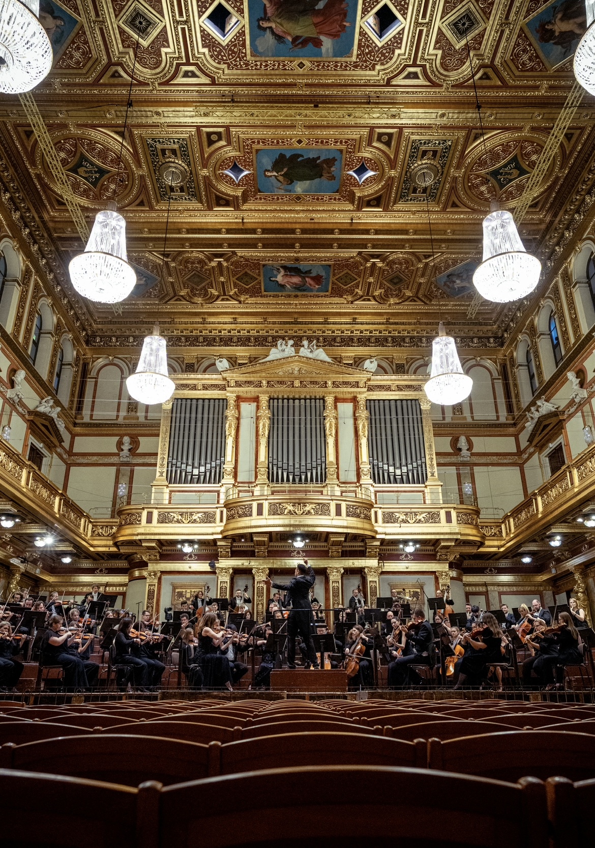 Wiens jüngstes professionelles Orchester feiert fünf Jahre